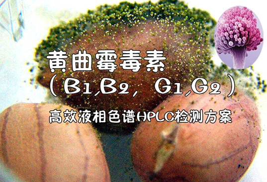 高效液相色譜HPLC檢測